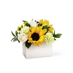The FTD Sweet as Lemonade Bouquet from Victor Mathis Florist in Louisville, KY
